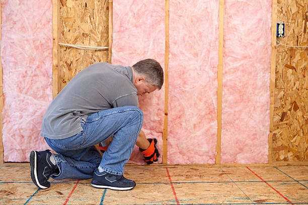 Best Residential Insulation in Winfield, WV